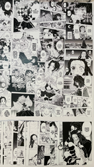 Demon Slayer Manga Wall